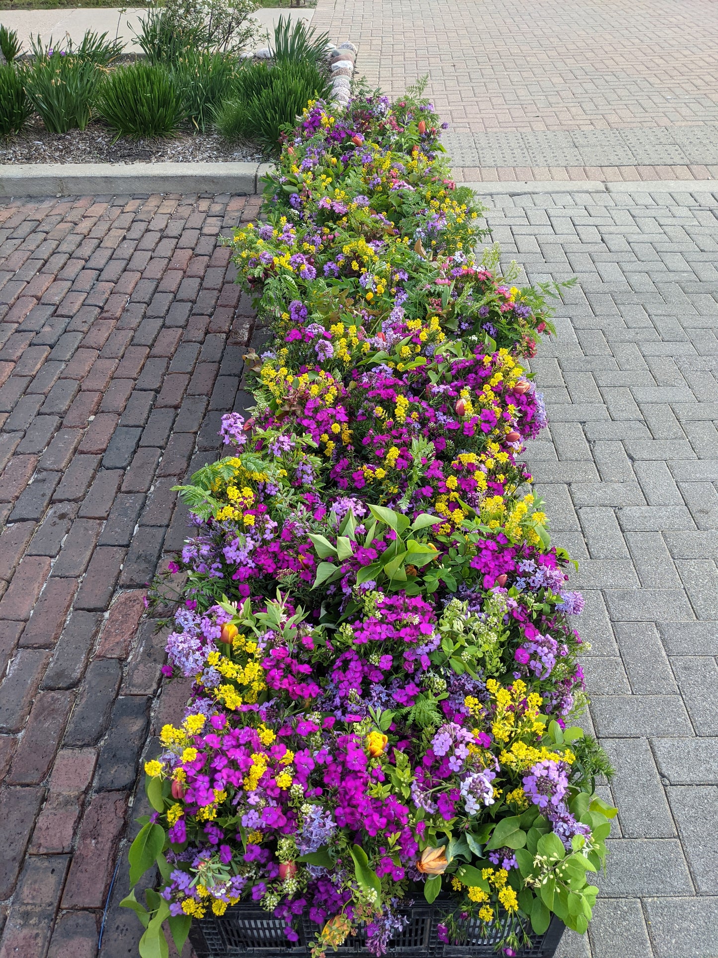 Medium Bouquets