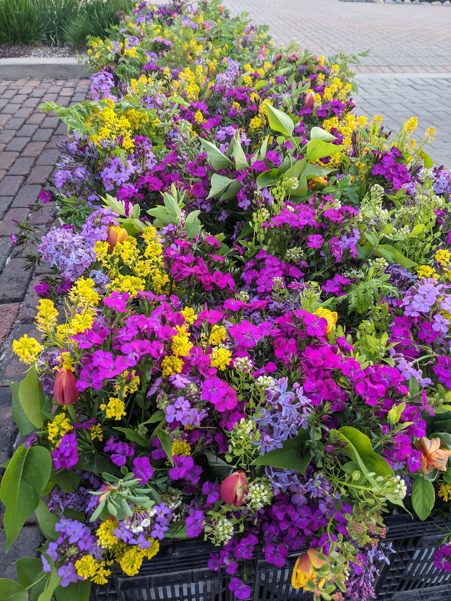 Medium Bouquets